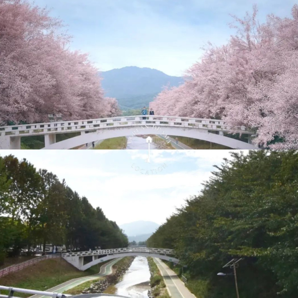 lokasi syuting Doona!