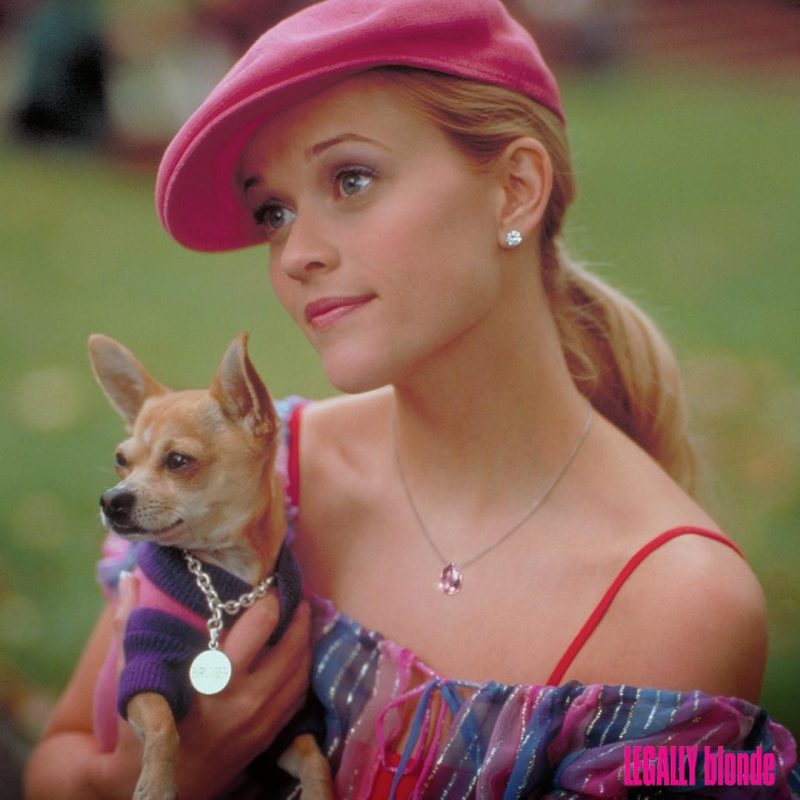 elle woods