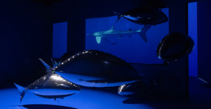 ArtScience Museum dan OceanX Ajak Kamu Jelajahi Dunia Bawah Laut yang Jarang Terlihat oleh Manusia!