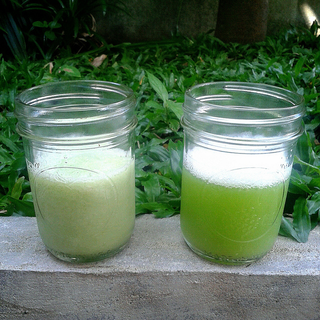 Female Daily Editorial Juicing Gear Blender Vs. Juicer