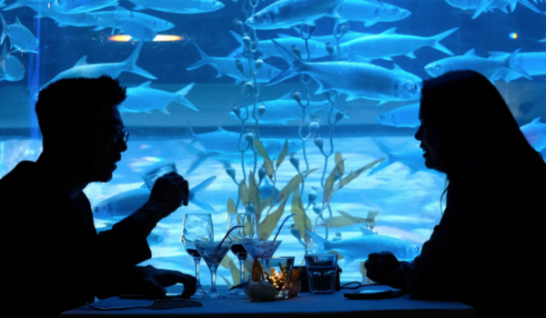 destinasi wisata Jakarta Aquarium