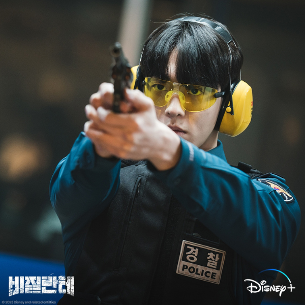 drama korea vigilante