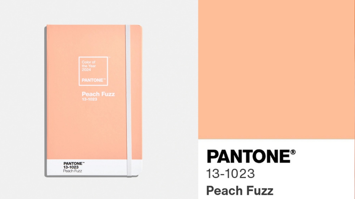 PANTONE COLOR OF THE YEAR 2024 PEACH FUZZ 3
