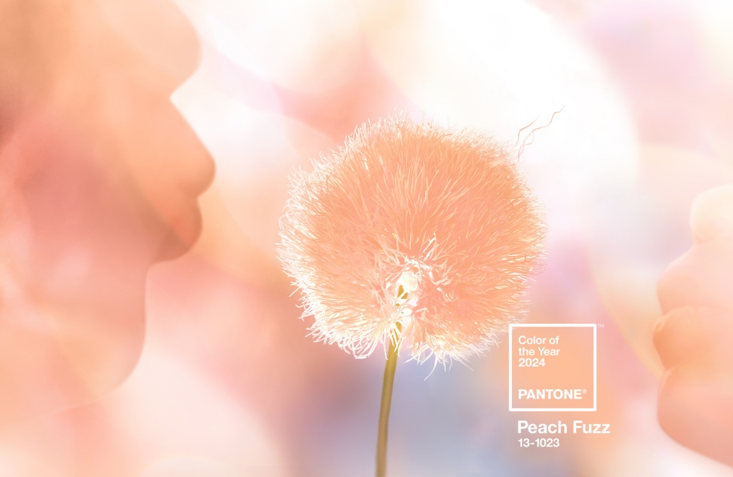 PANTONE COLOR OF THE YEAR 2024 PEACH FUZZ 4