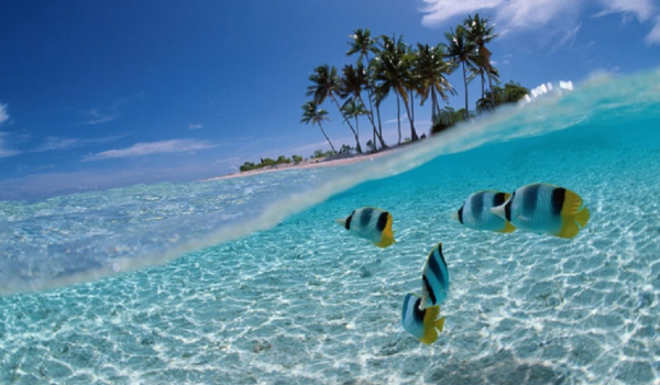 destinasi snorkeling di indonesia