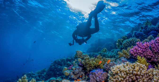 Romansa di tepi Saudi Red Sea 