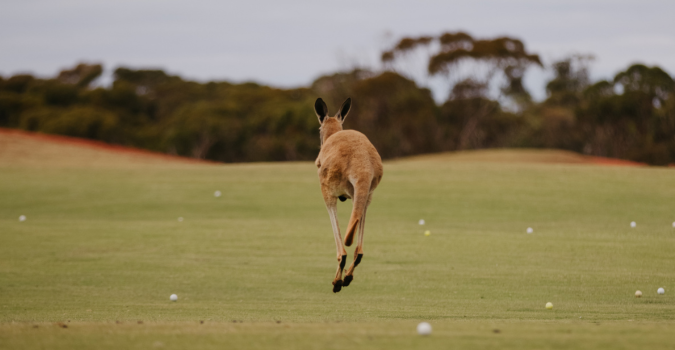 lapangan golf australia barat