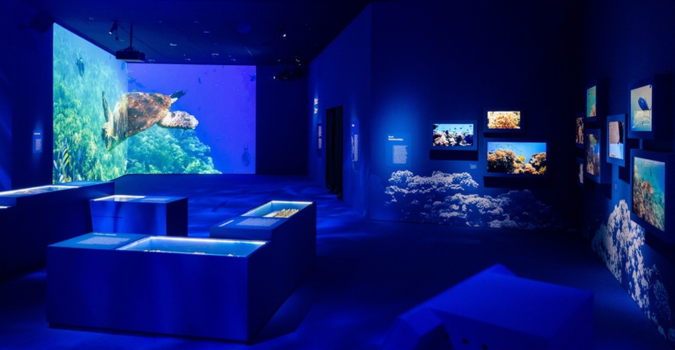 Artscience